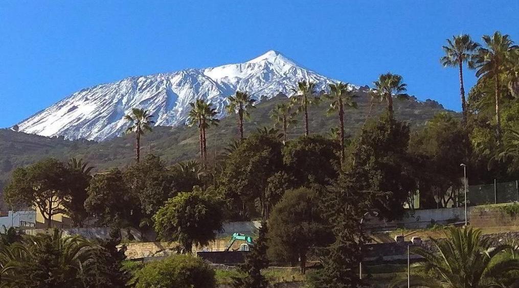 La Guancha La Campana De Arriba 아파트 외부 사진